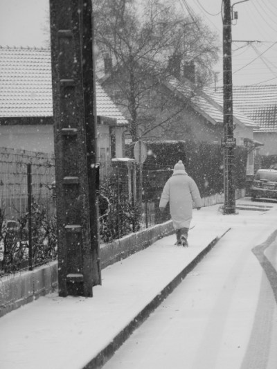 Well wrapped local lady braving the onslaught of snow. 