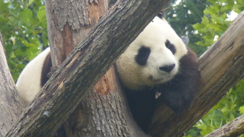 Here's looking at you.